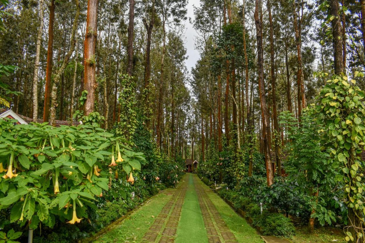 Coffee Grove Resort Chikmagalur Exterior photo