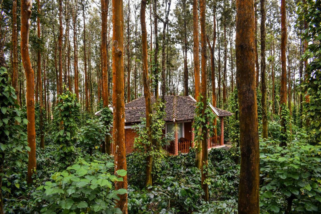 Coffee Grove Resort Chikmagalur Exterior photo