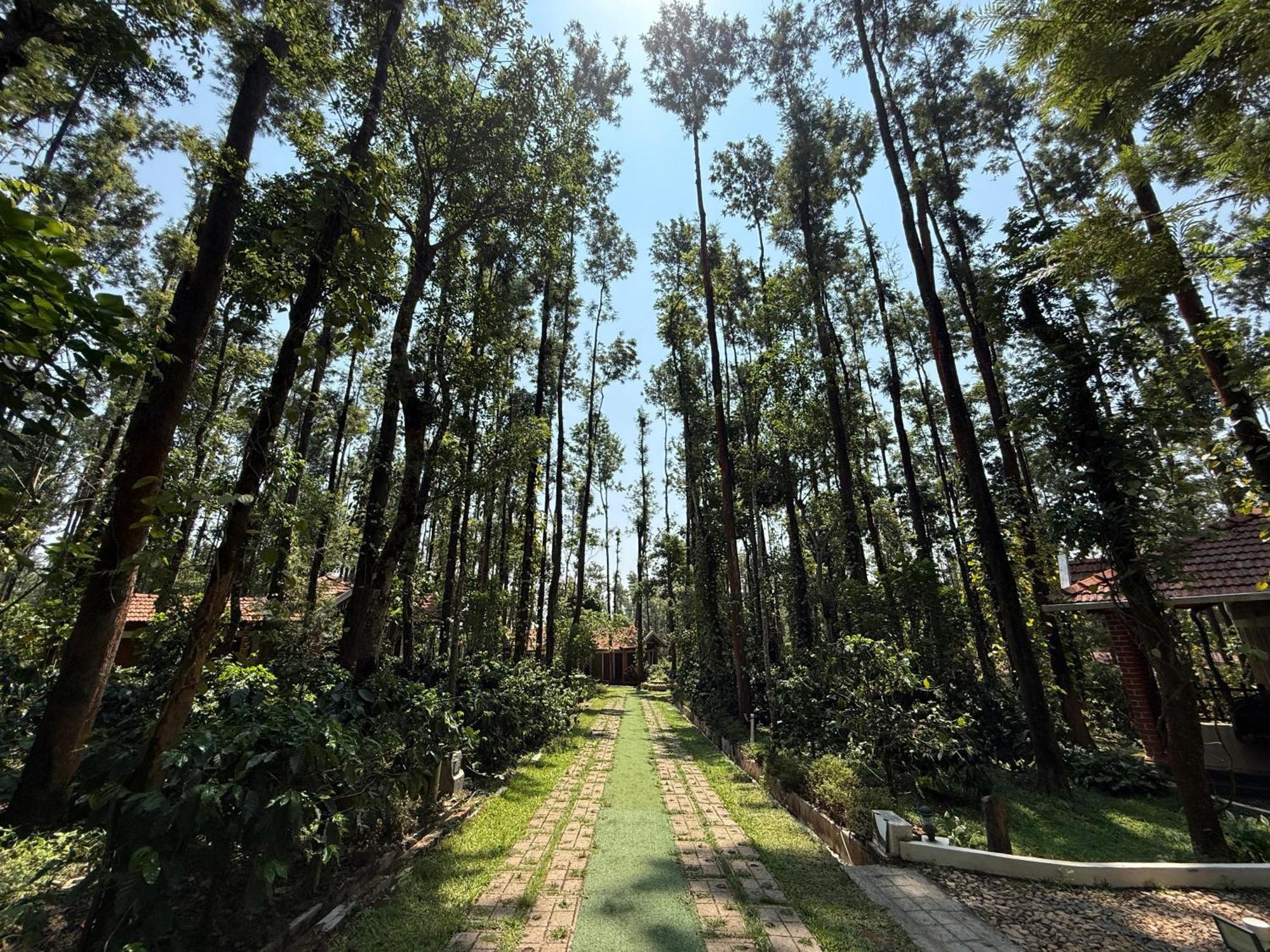 Coffee Grove Resort Chikmagalur Exterior photo